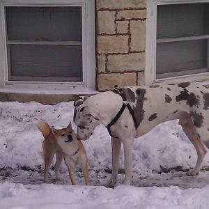 Meet your Posher, John